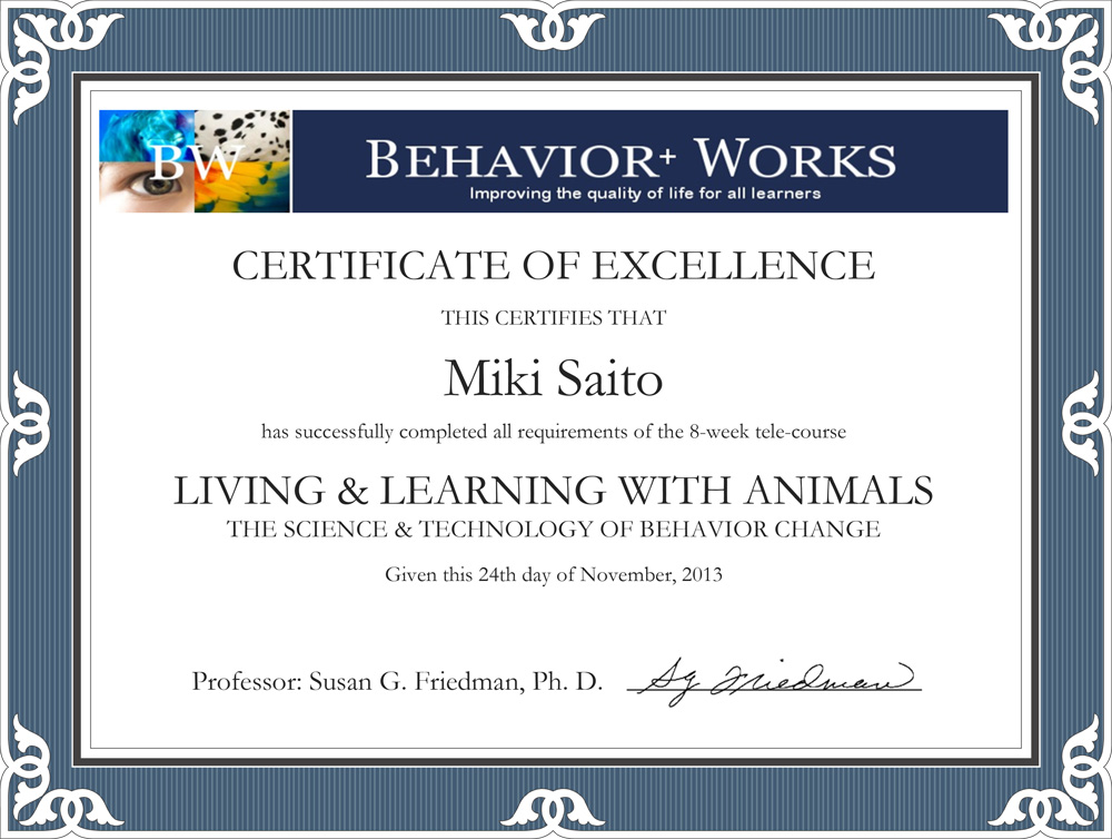 behaviorworks_proof